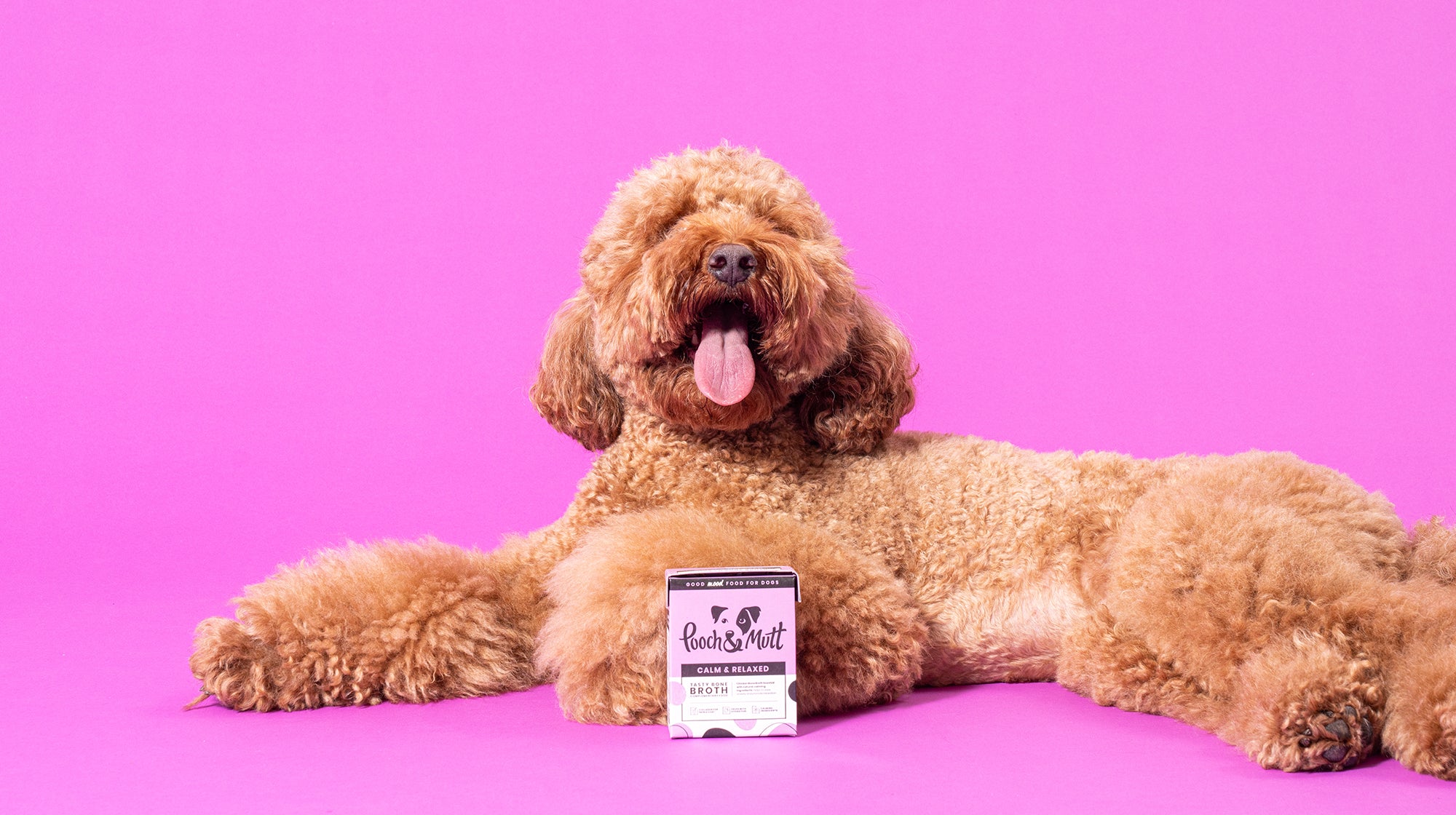 What is bone broth for dogs?-Image 2