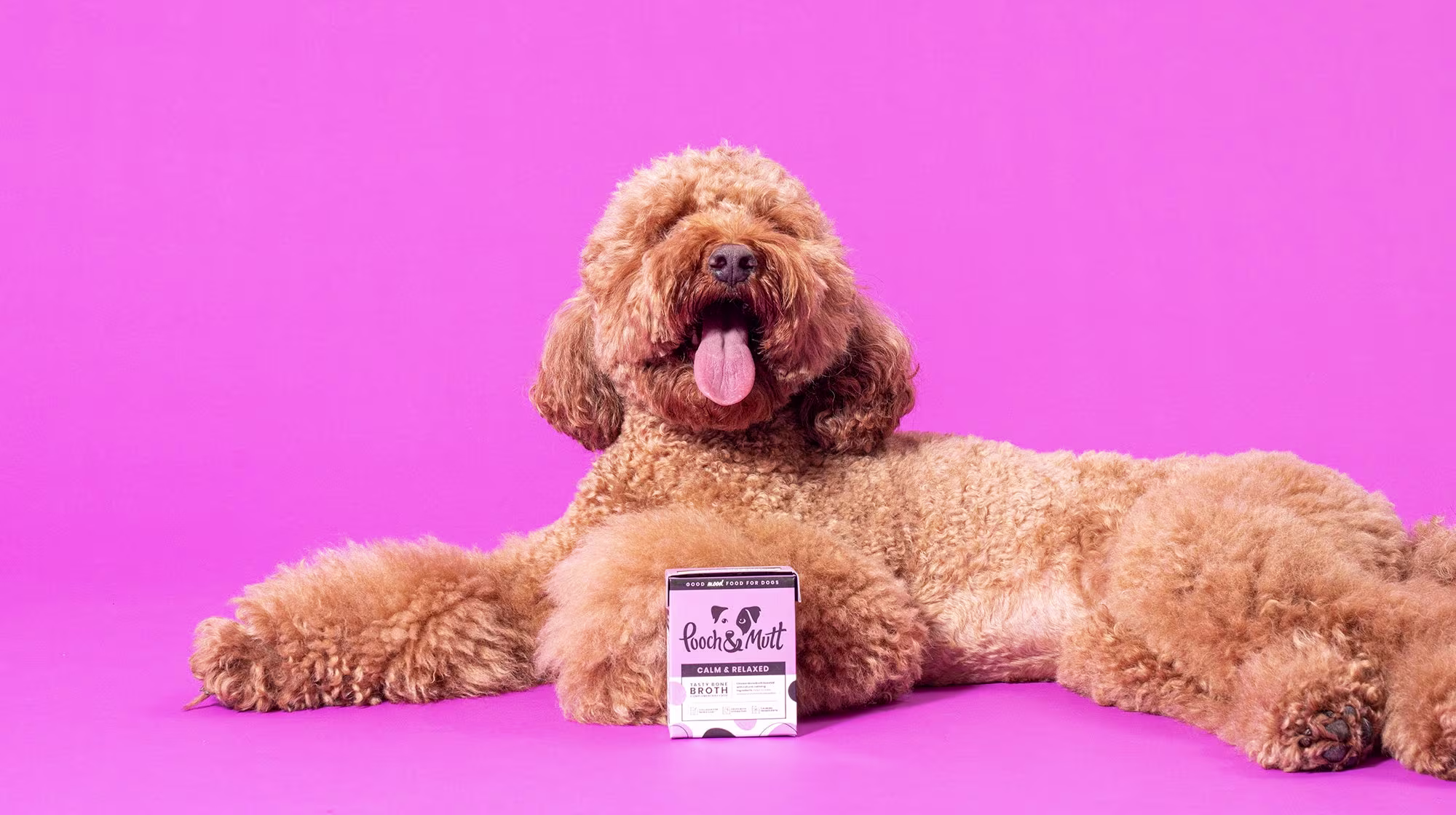 What is bone broth for dogs?-Image 2