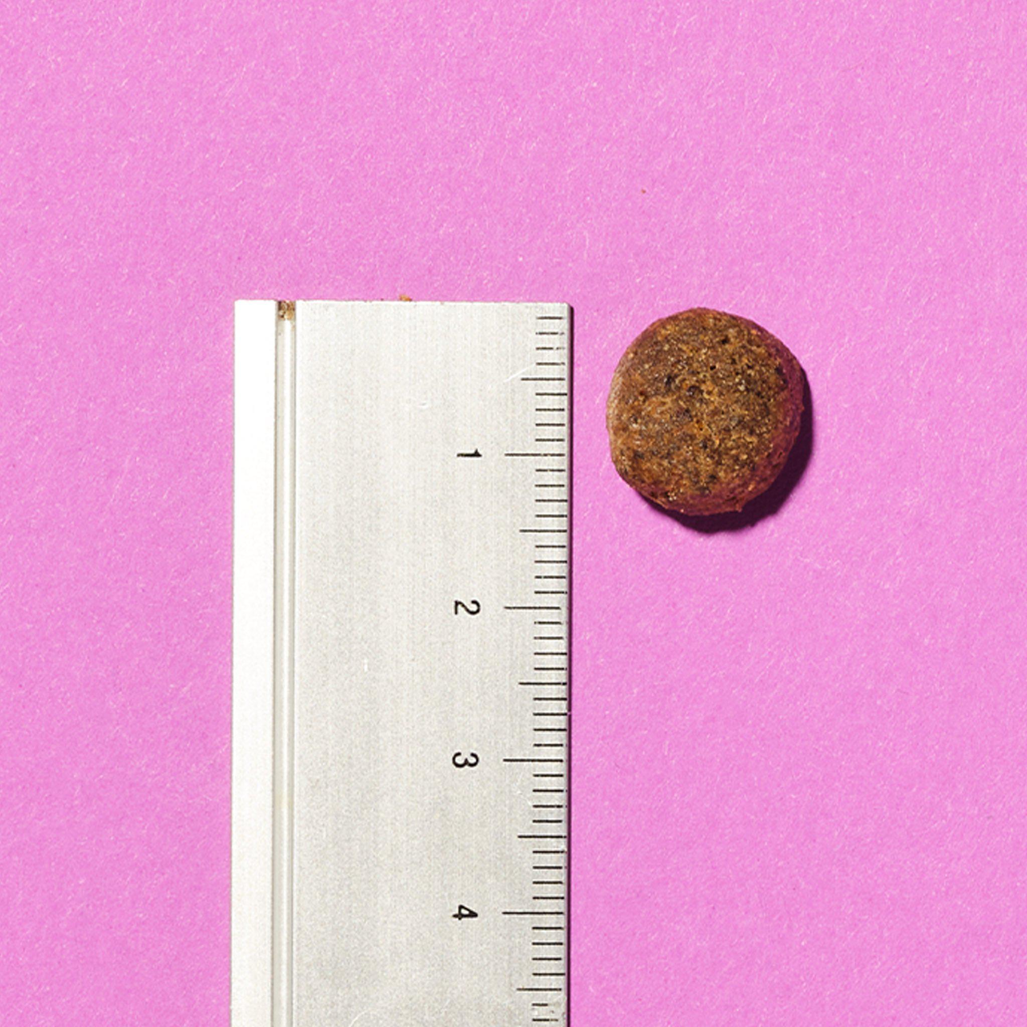 GLOBAL PRODUCT IMAGES CR-3.5