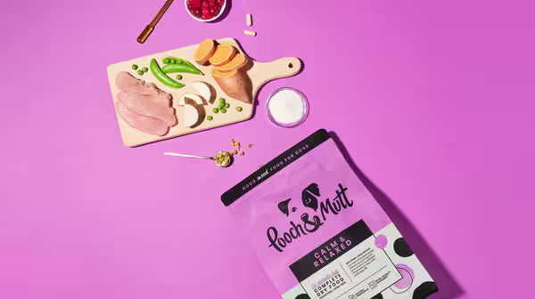 How to prepare your dog for back-to school time-Image 2