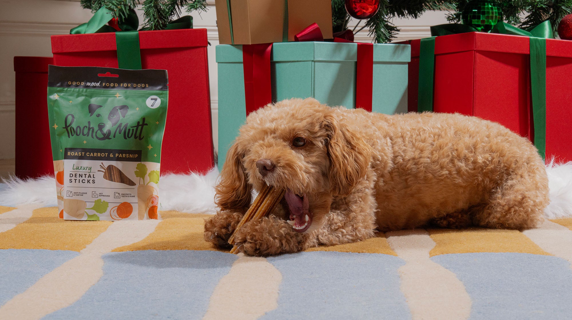 Top 5 Christmas gift ideas for every type of dog-Image 1