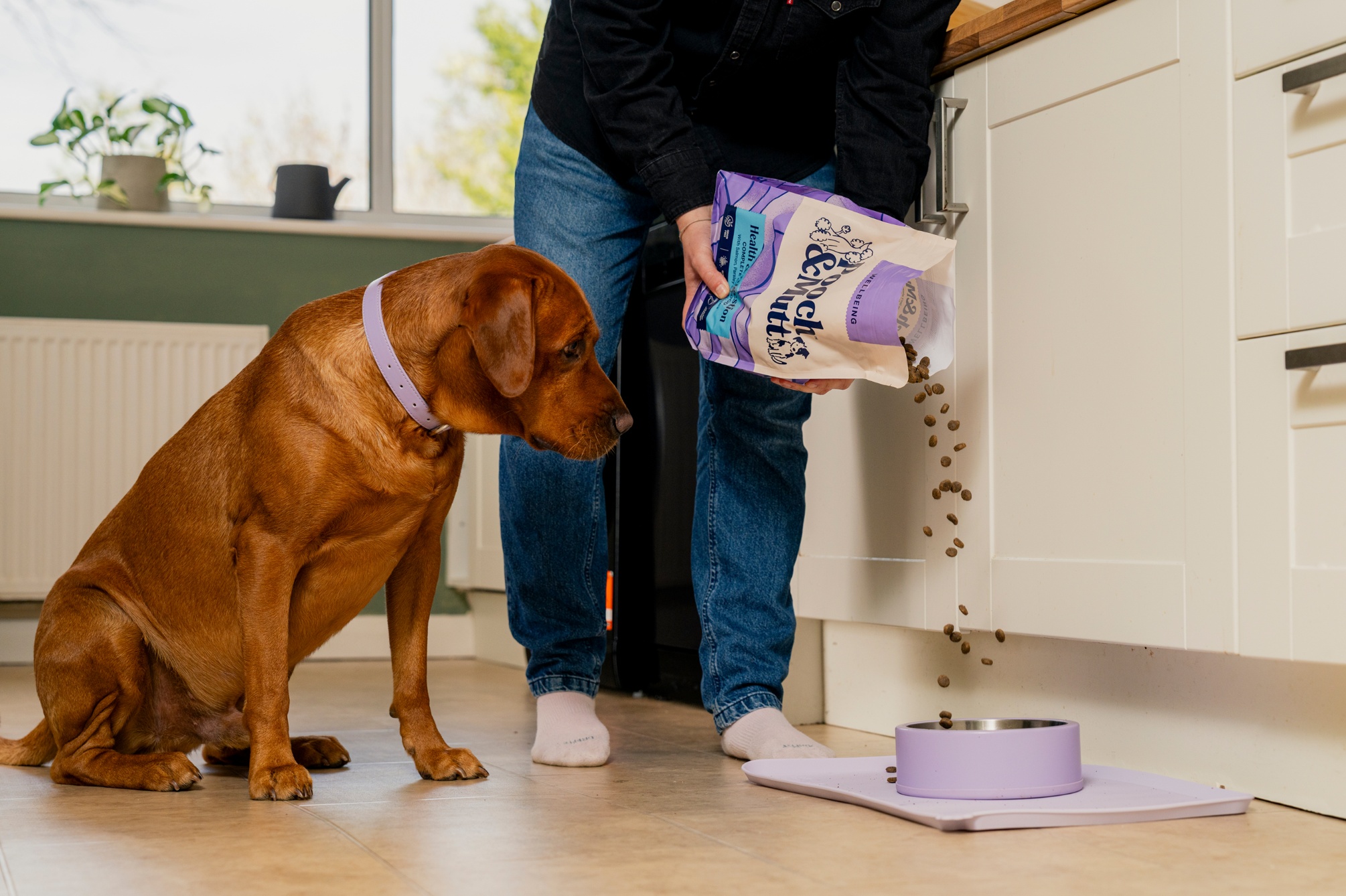 Dry Food collection banner