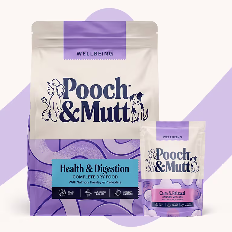 Wellbeing
