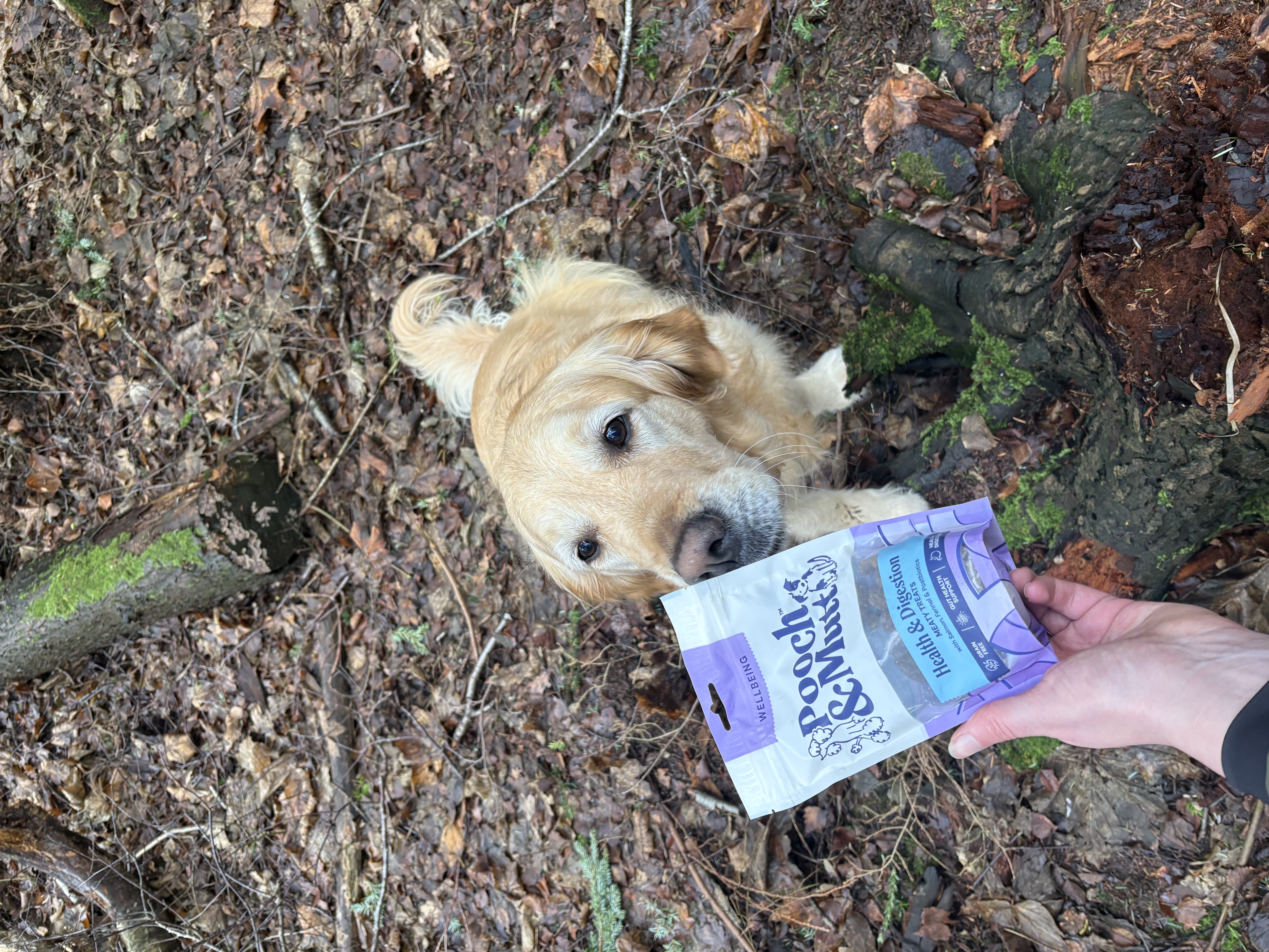 IMG 5501 - Kathryn Cartwright