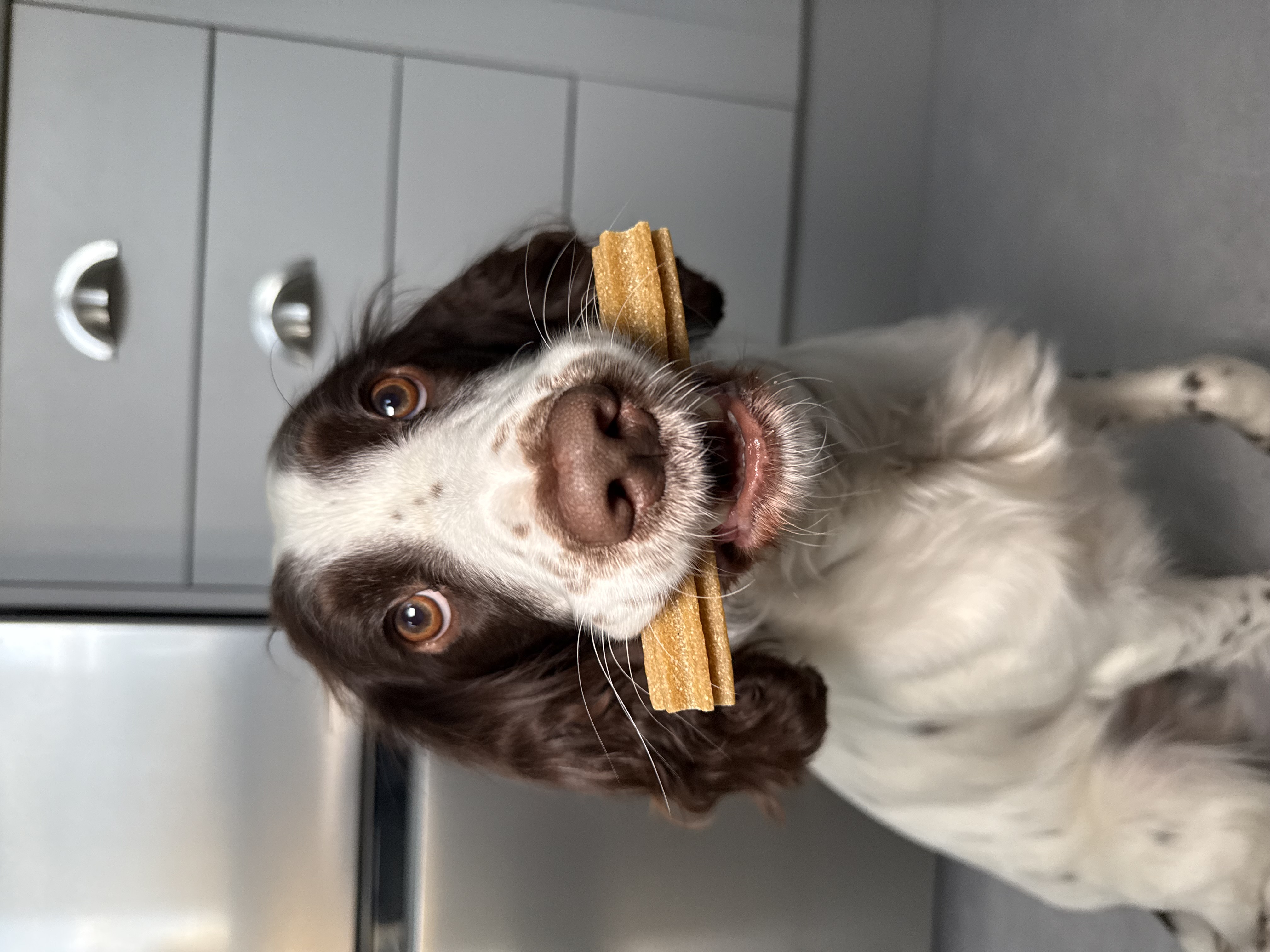 IMG 8024 - Ellie Houston