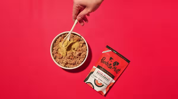 Dog Skin Allergies: Causes, symptoms and treatment-Image 3