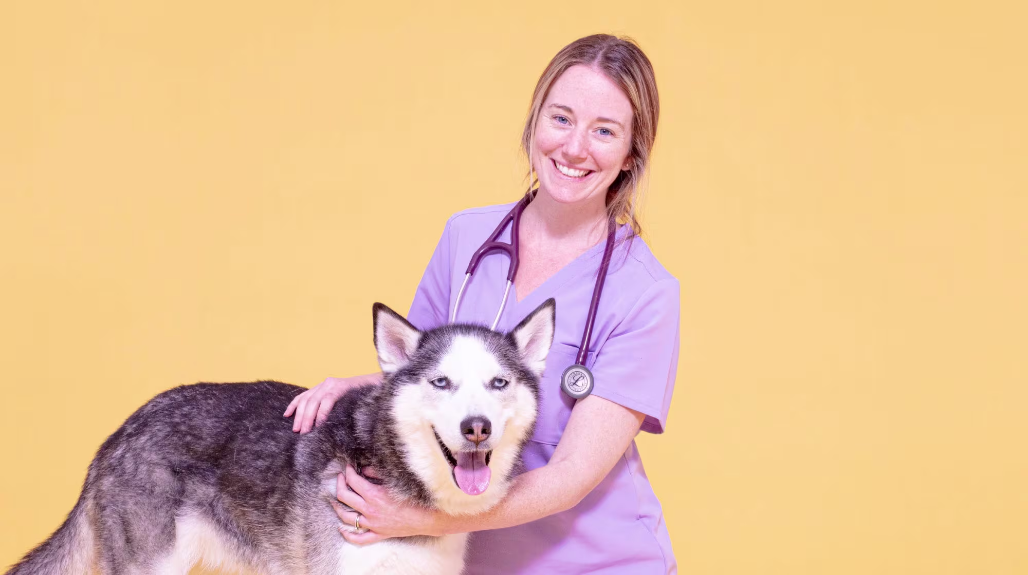 Everything you need to know about hydrolysed dog food-Image 1