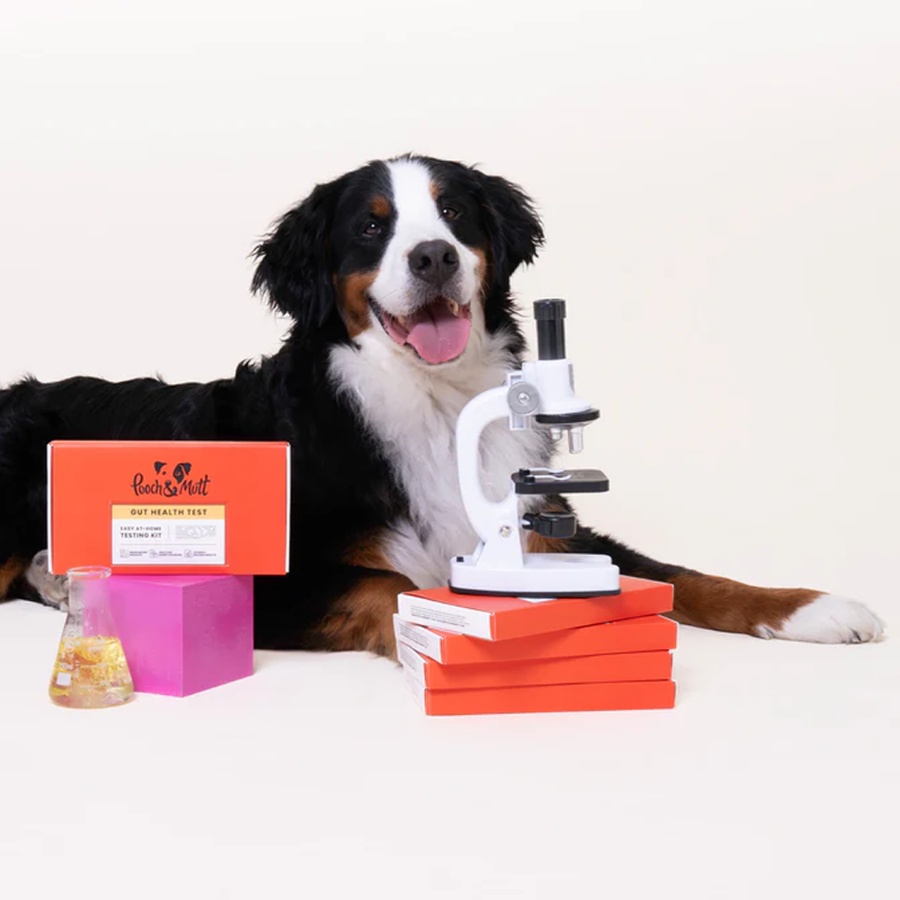Dog sits next to a Pooch & Mutt gut health test