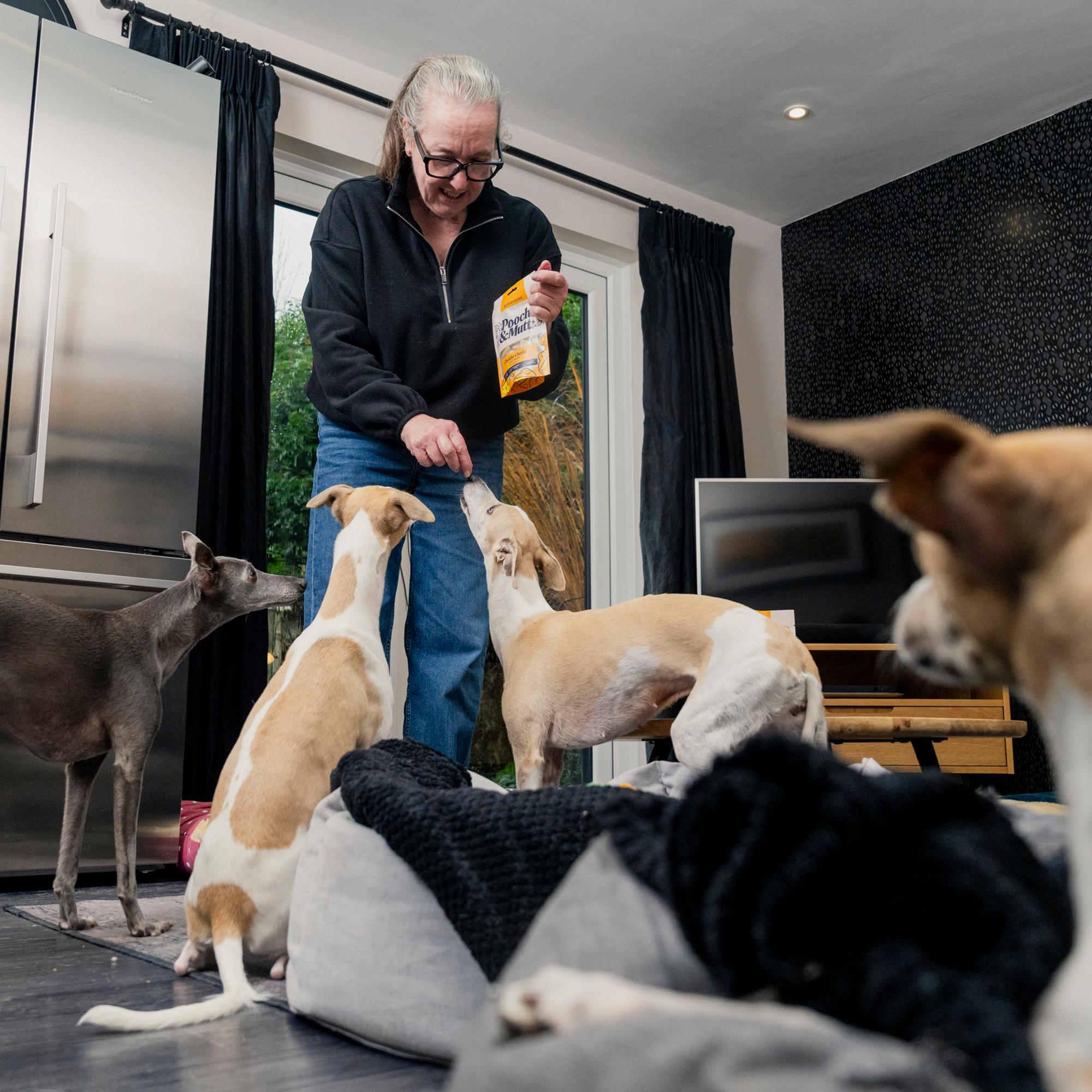 Cheddar Cheese Probiotic Treats MTCHSX1 1 lifestyle