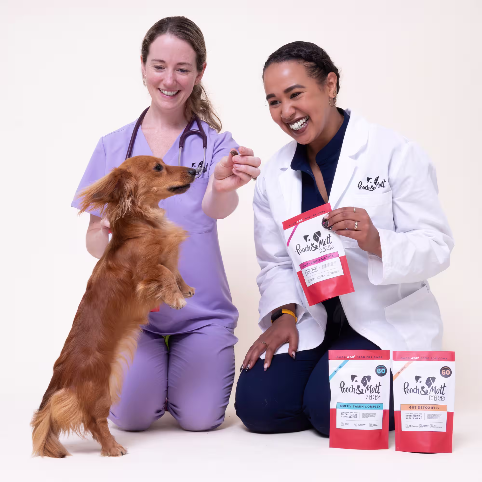 Gut Health Supplement Recommendations