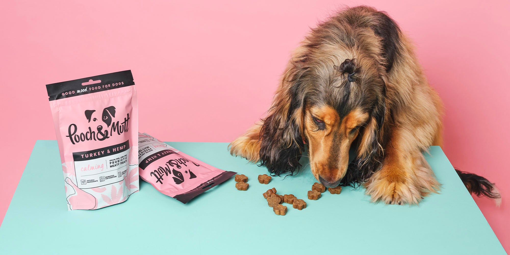 dog eating treats off a table