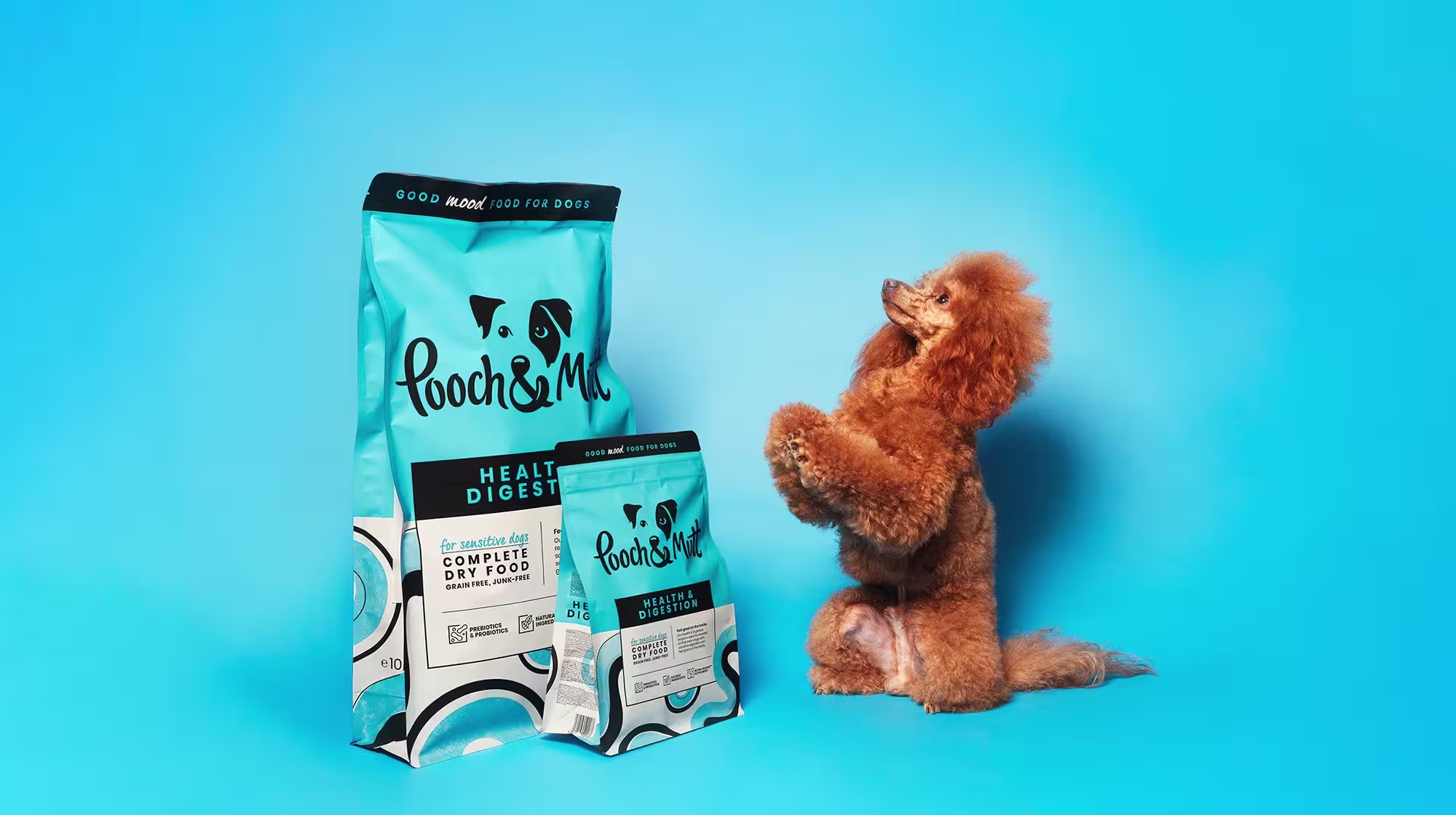 Finding the best food for colitis in dogs-Image 2