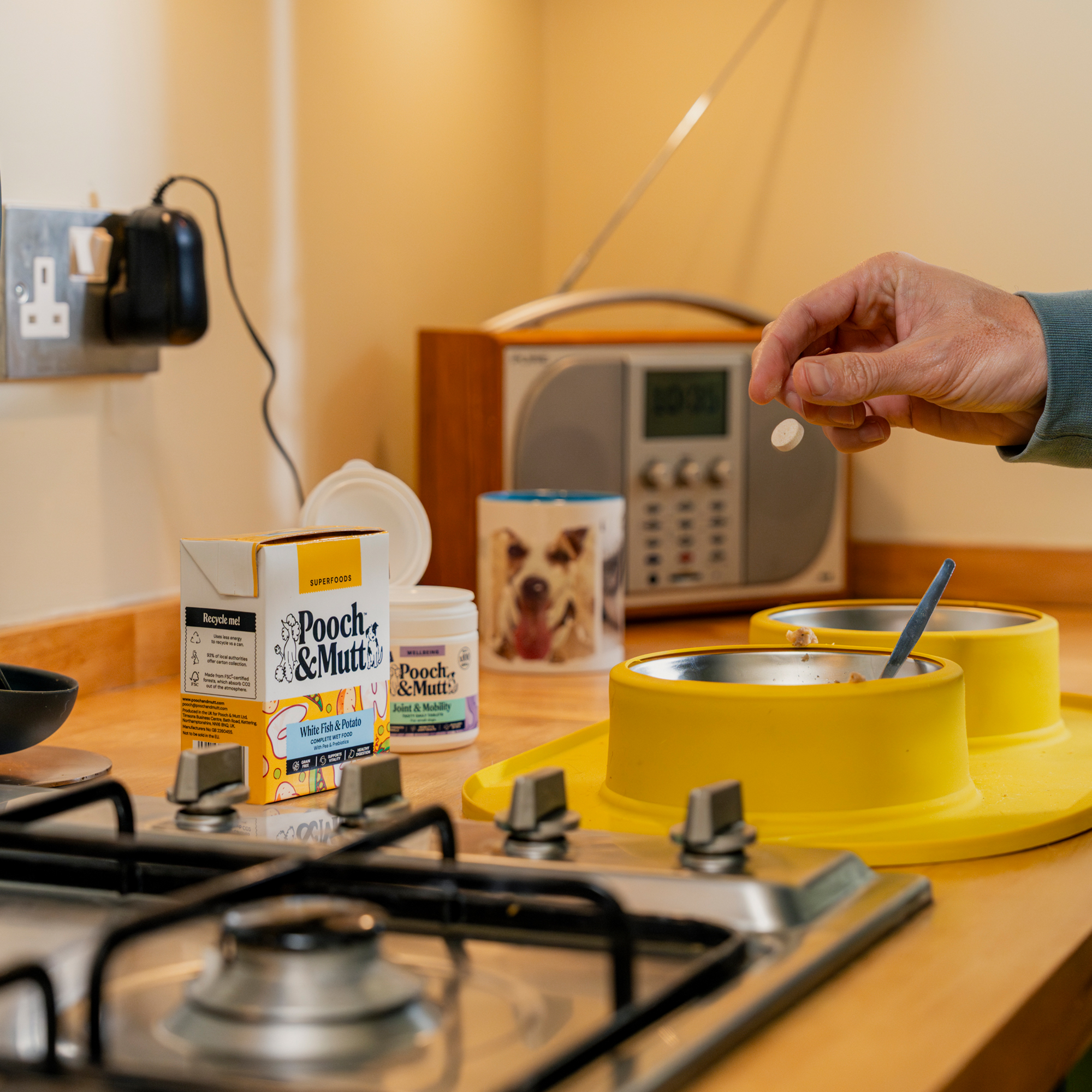 Joint Care Supplement For Dogs SUP100JOINT 1 lifestyle