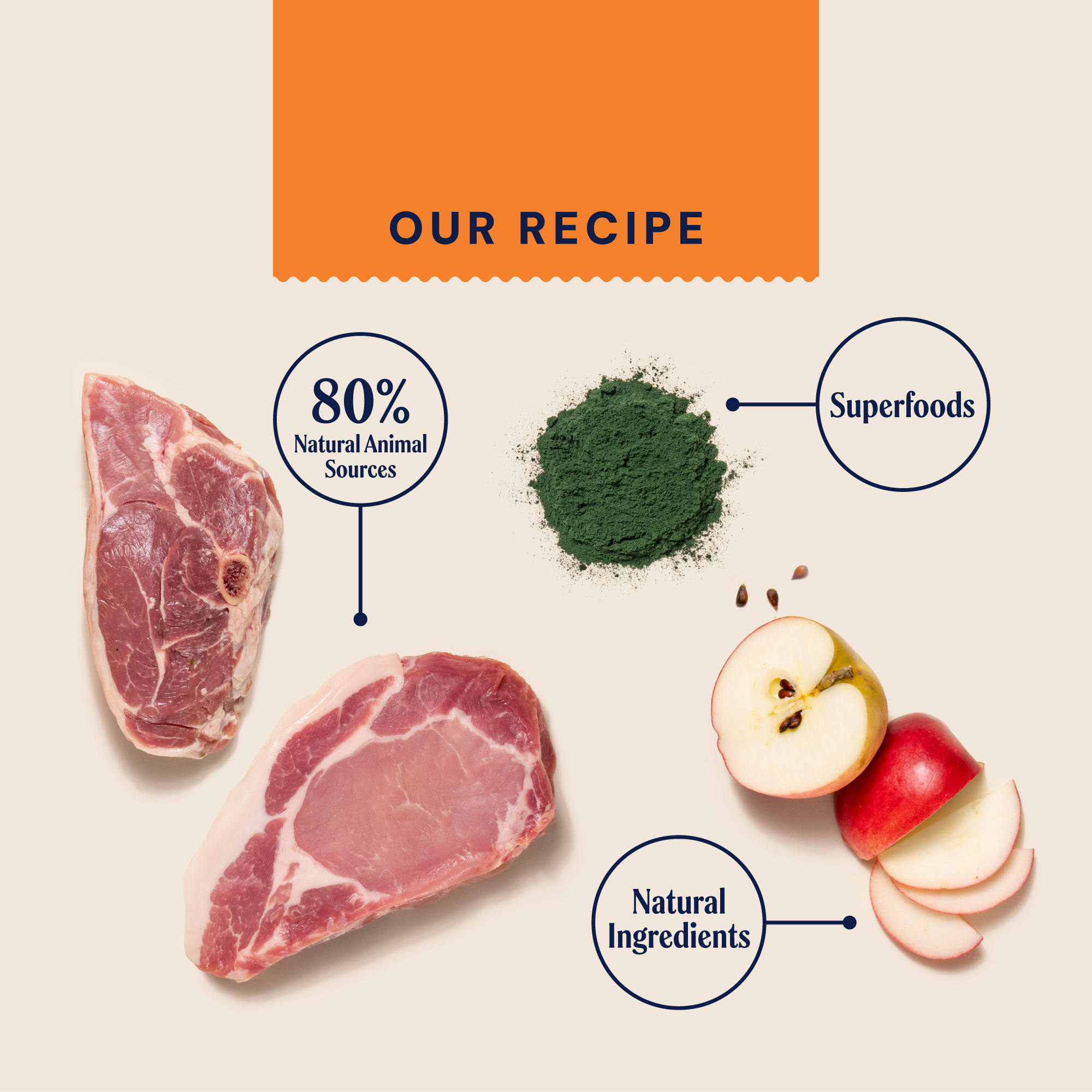 P&M INGREDIENT IMAGE PRIMAL WILD BOAR