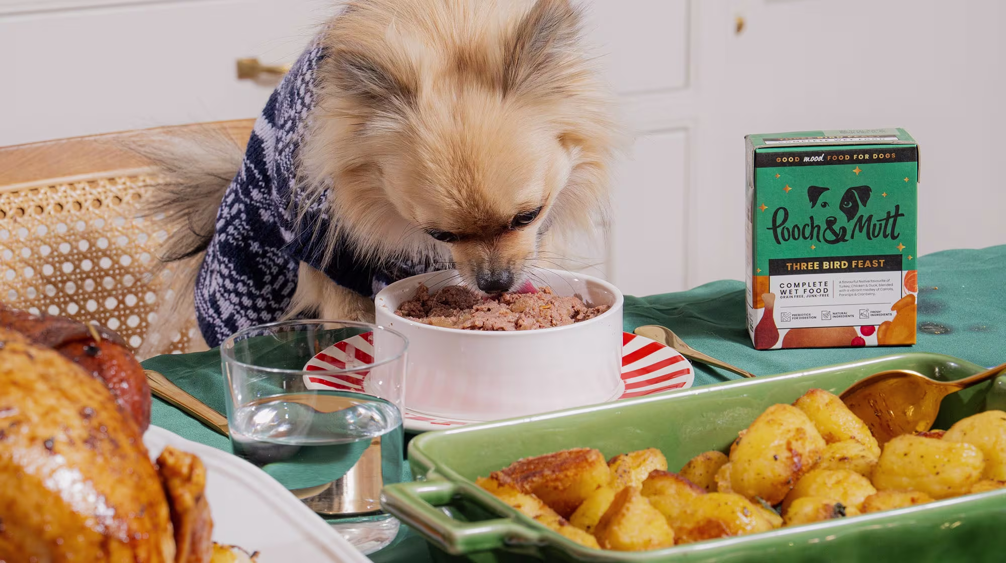 Top 5 Christmas gift ideas for every type of dog-Image 2