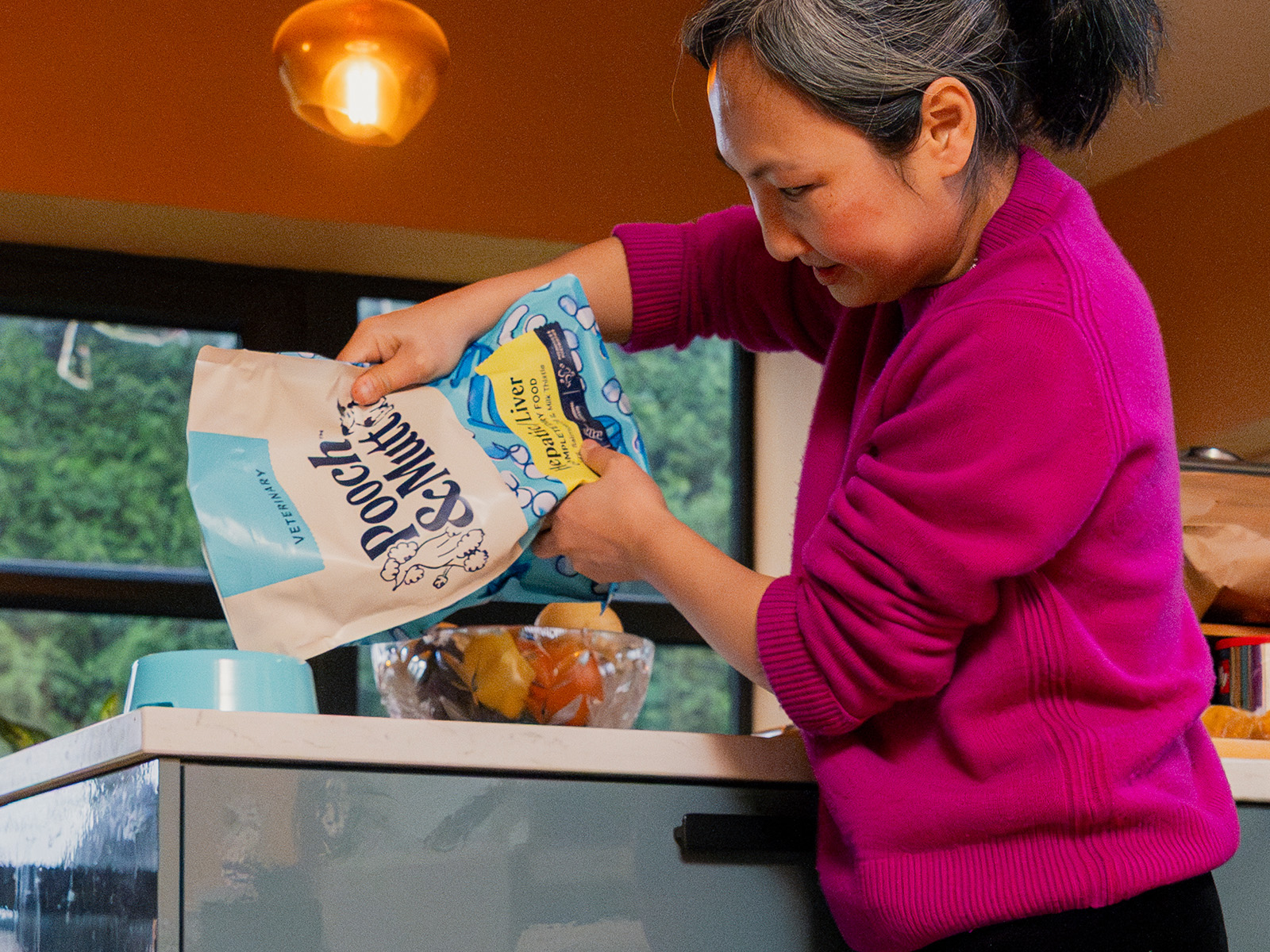 P&M WEBSITE VET BANNERS HEPATIC