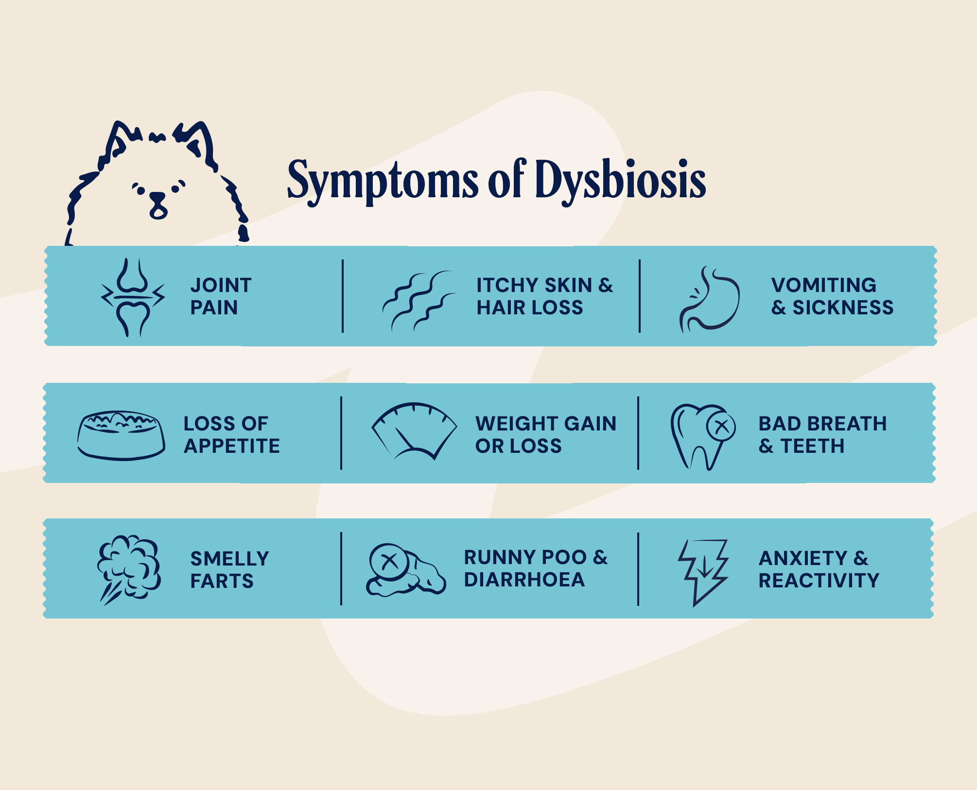 P-26M WEB GUT HEALTH PDP SYMPTOMS OF DYSBIOSIS