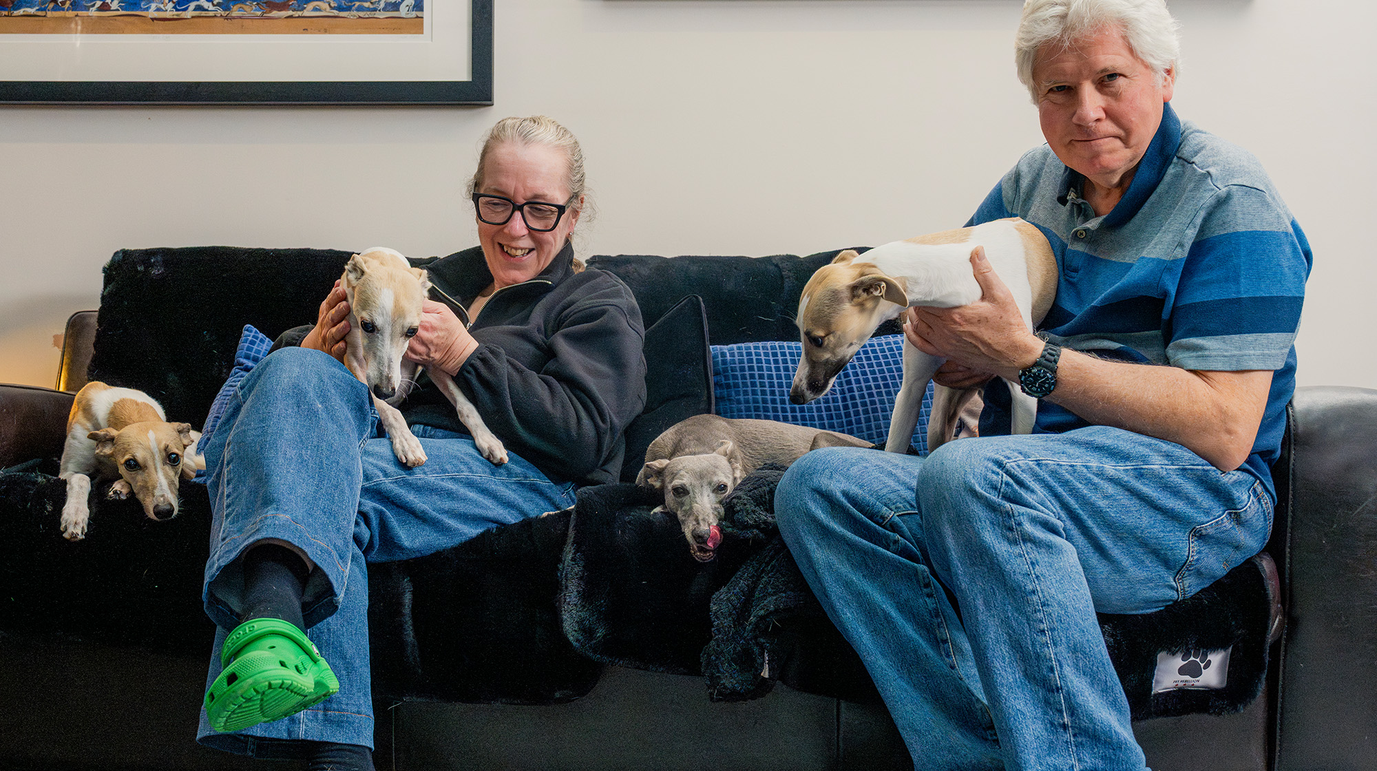 PR CRUFTS ANNOUNCEMENT IMAGES LIFESTYLE 2