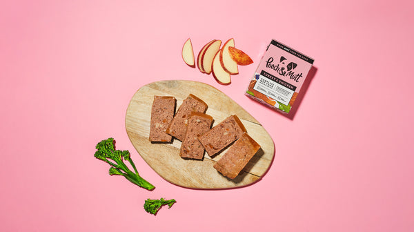 Should you feed your dog human food?-Image 3