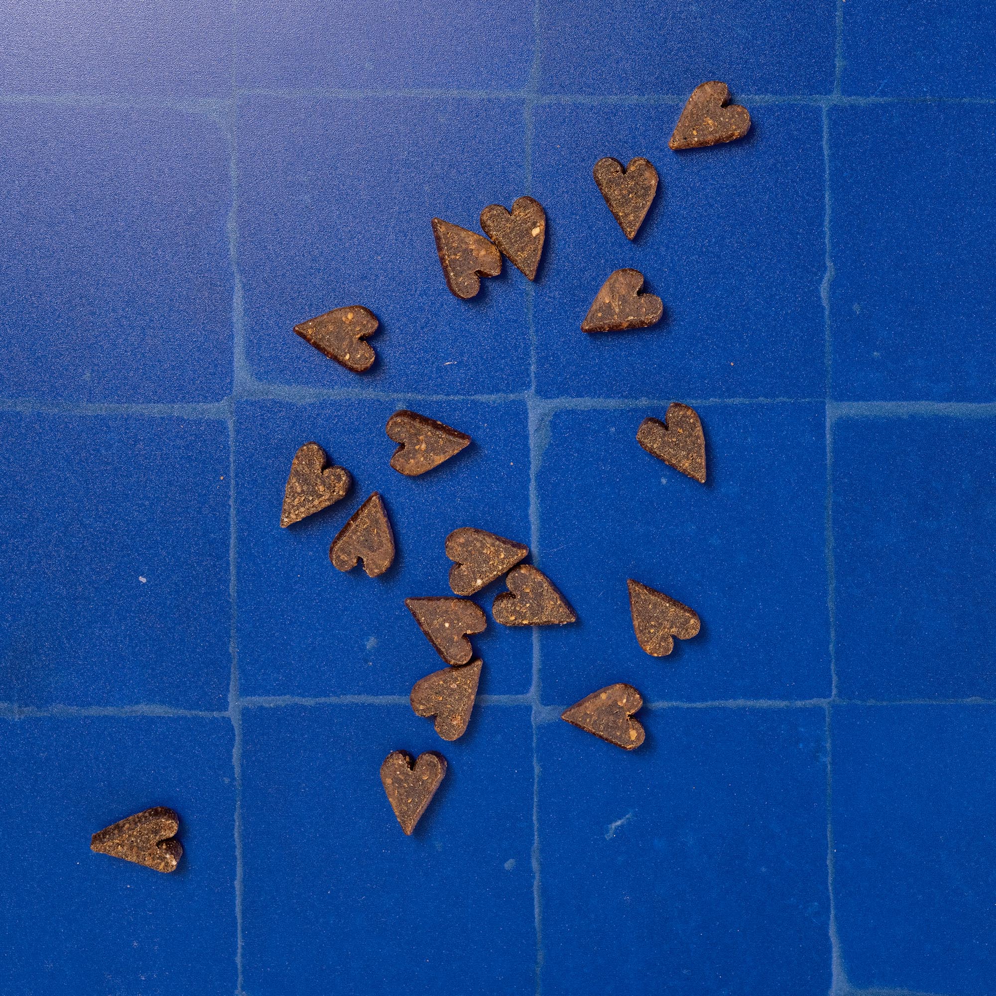 LOVESTRUCK LAMB PRODUCT 72dpi