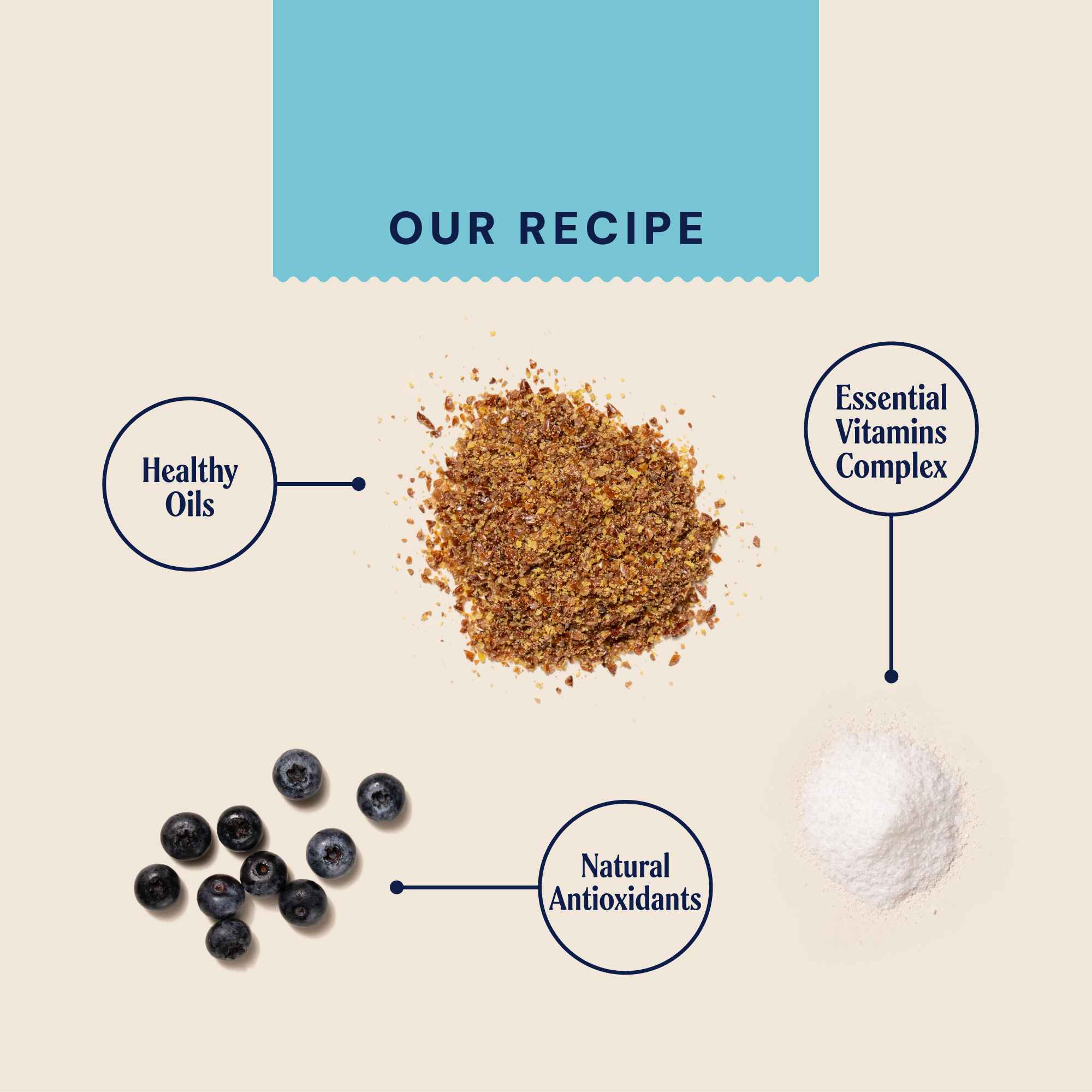 P&M INGREDIENT IMAGE SUPPLEMENTS VETERINARY MULTIVITAMIN COMPLEX