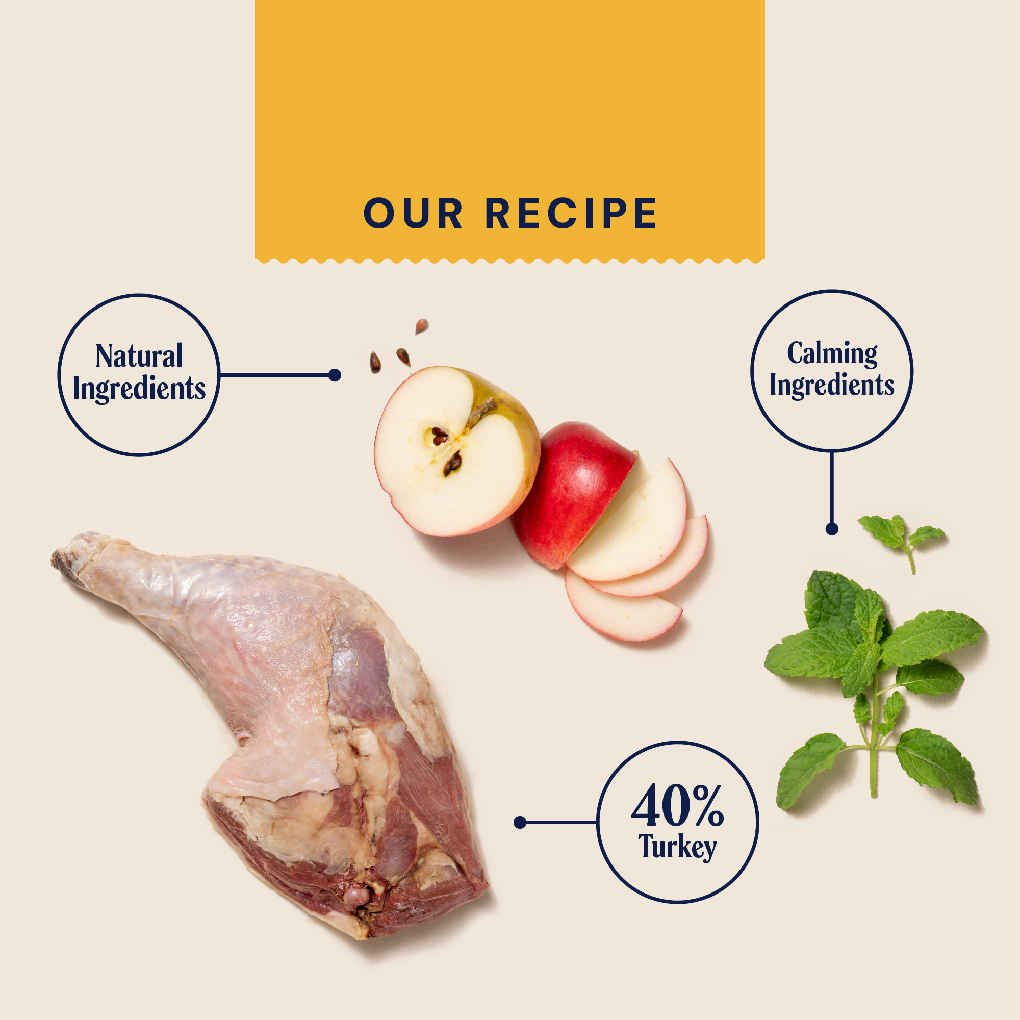Dry Superfood For Indoor Cats 