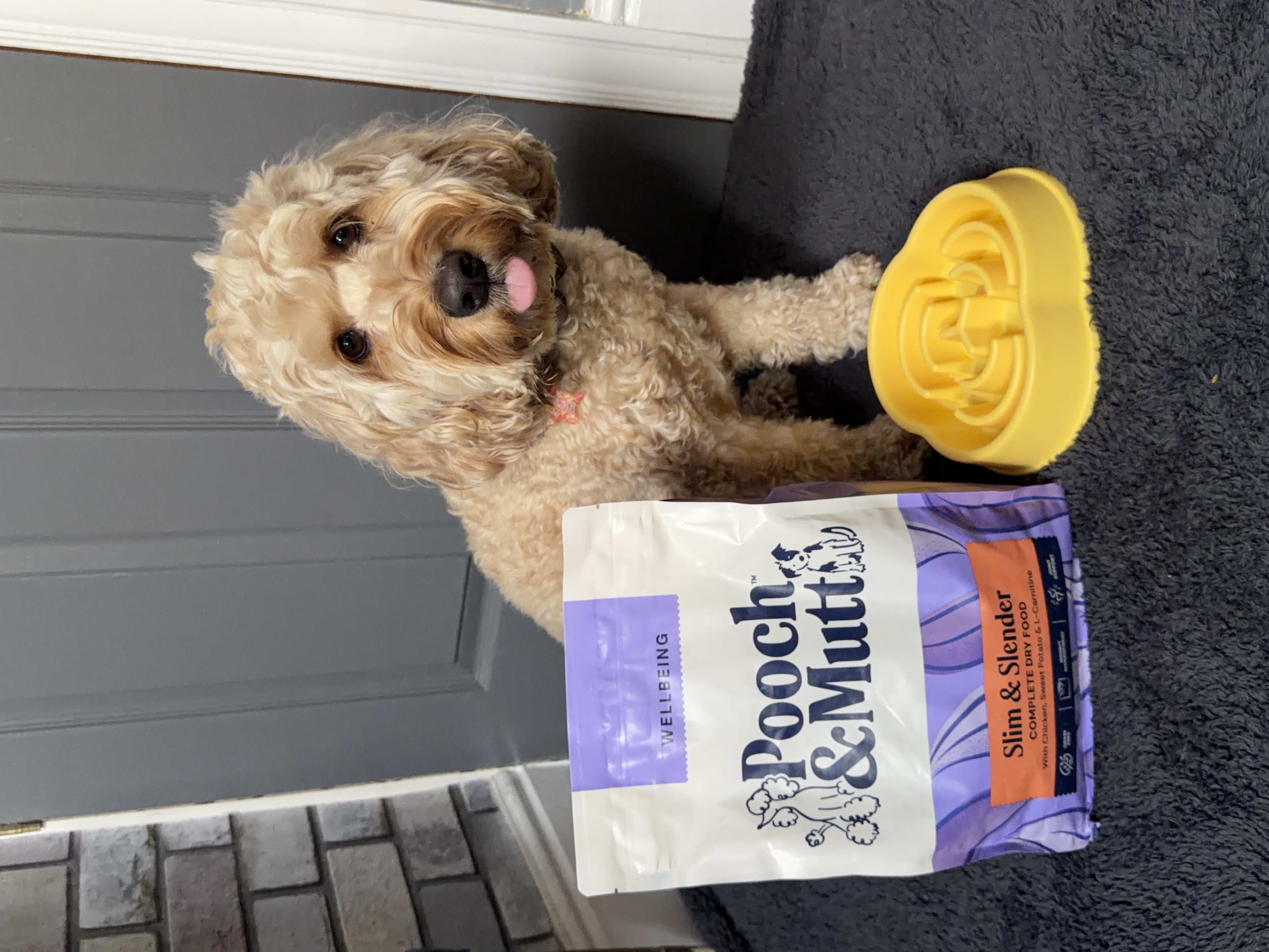 IMG 6503 - Em Wilkins