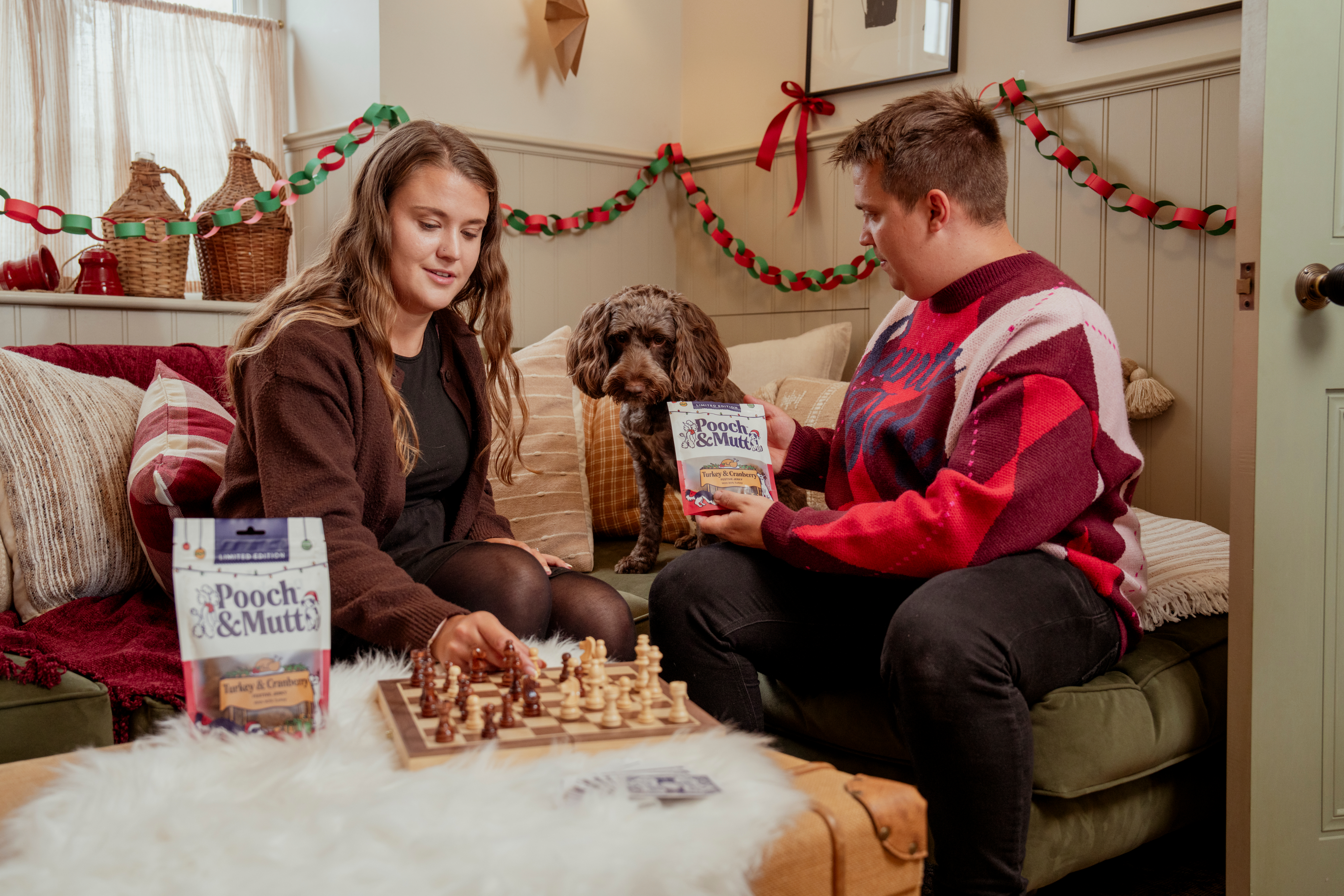 CHRISTMAS ALL BREEDS AND NEEDS BANNER 1