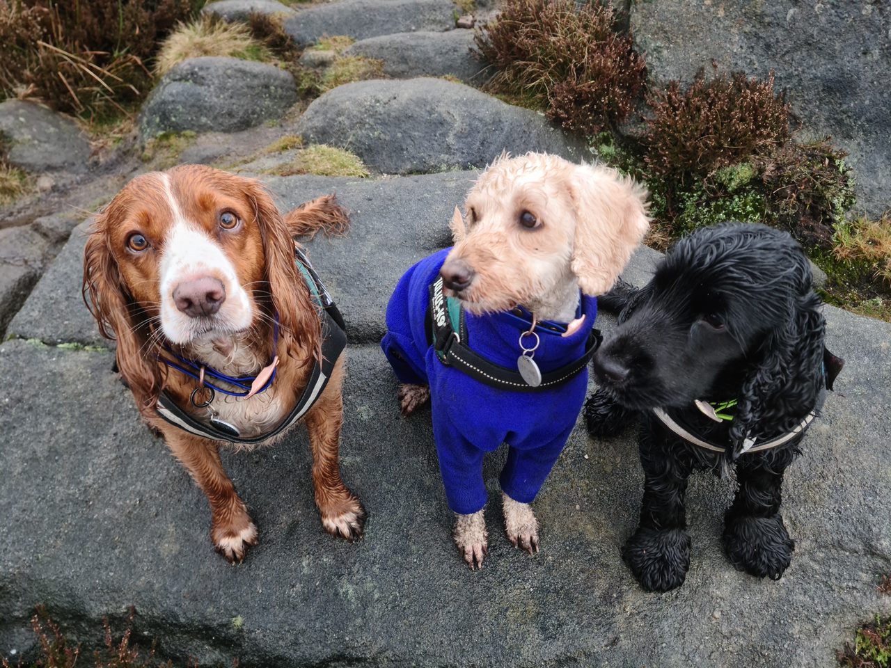 20220109 125151 - Vicky Kendall