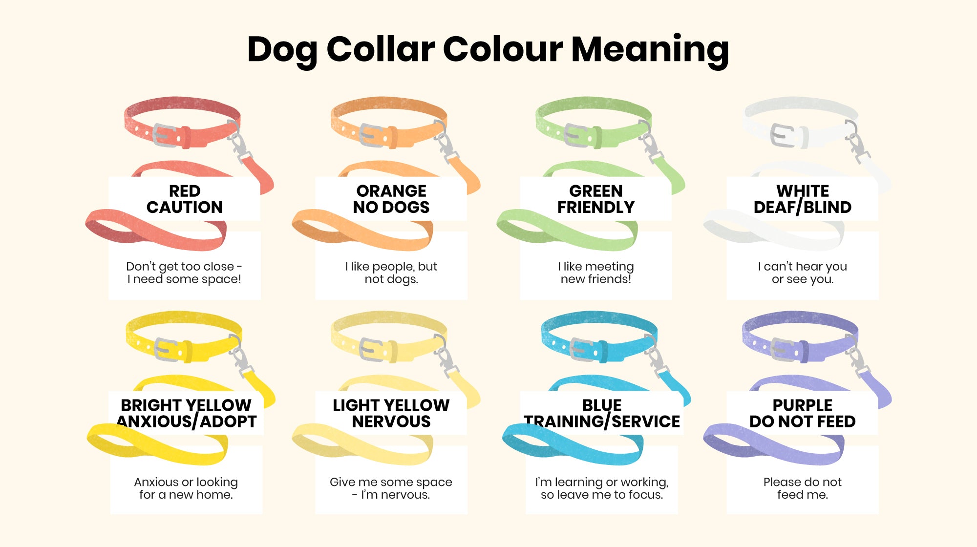 Dog Collar and lead Colours: What do they mean?-Image 1