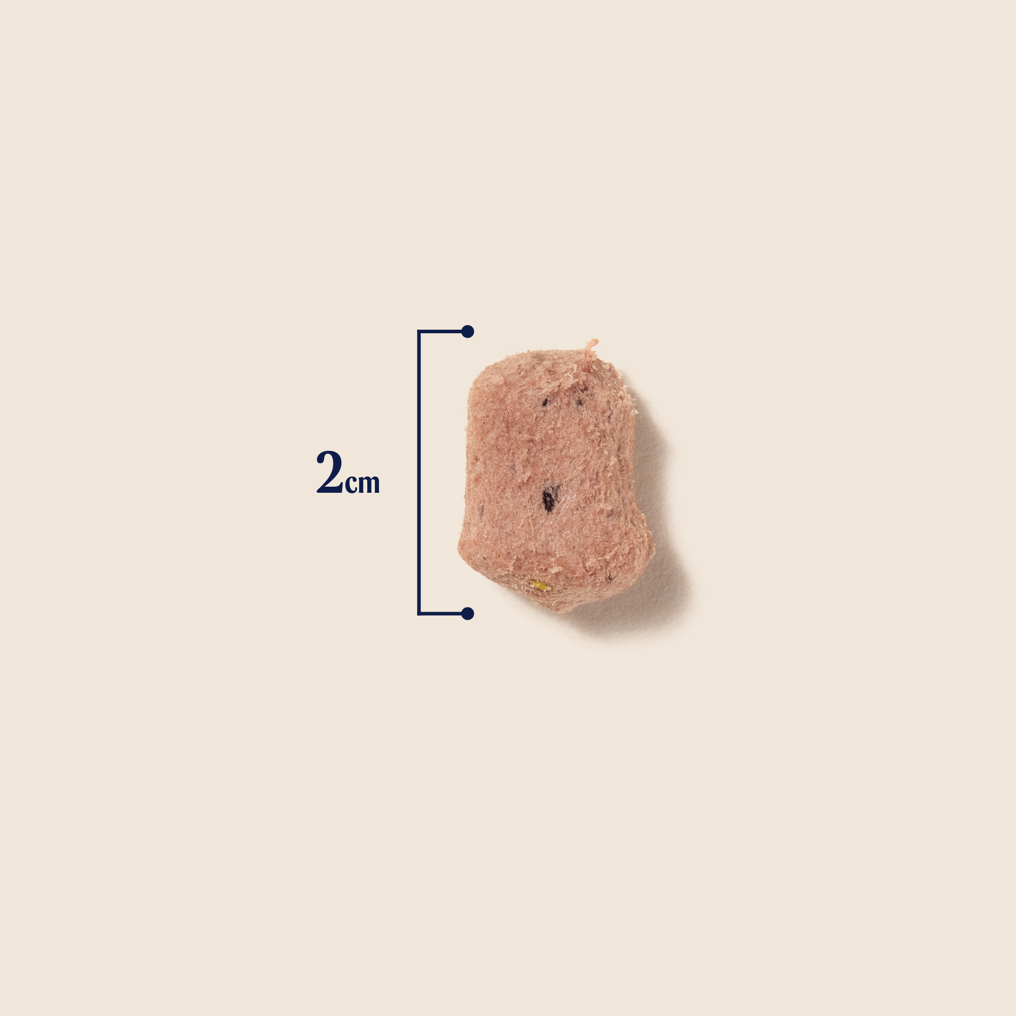 P&M SIZE FREEZE DRIED RAW TURKEY TOPPER