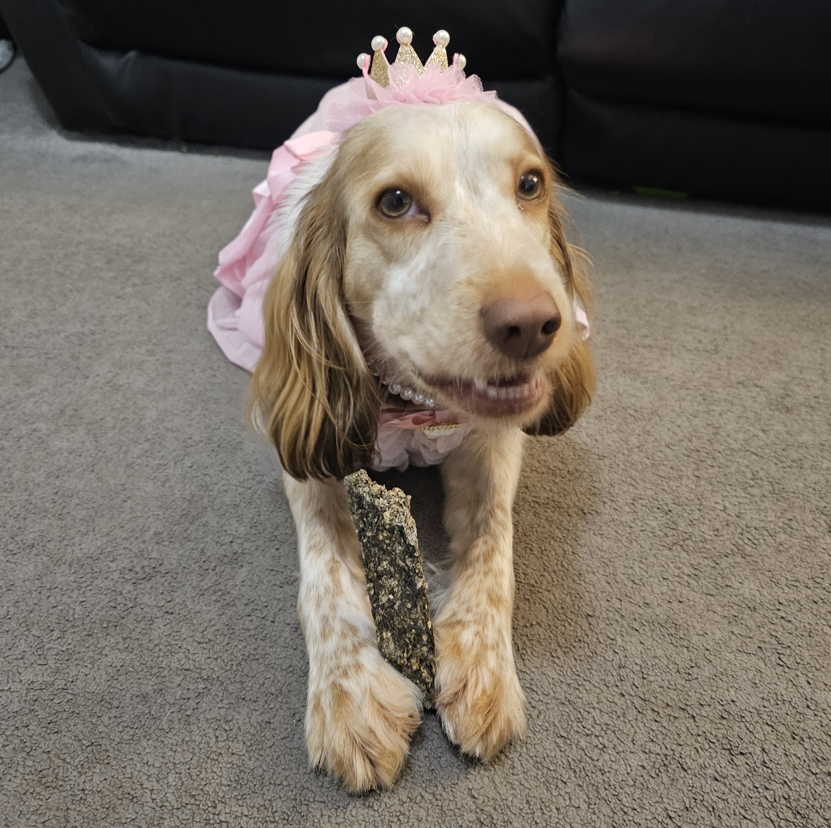 20251205 231613(0) - Nicola Widdowson