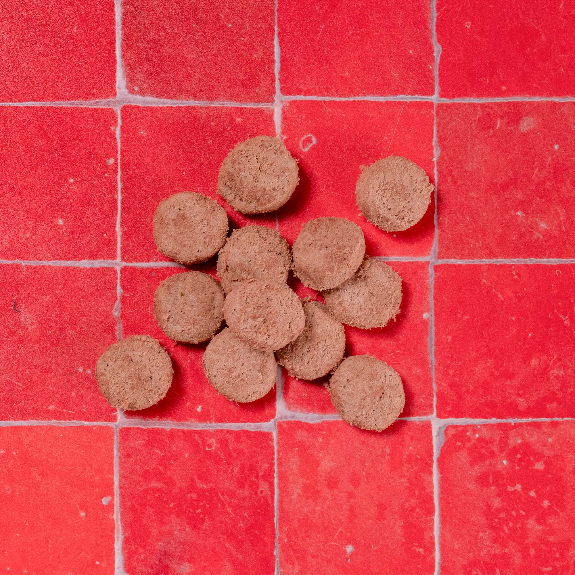 Turkey & Salmon Freeze Dried Dog Treats