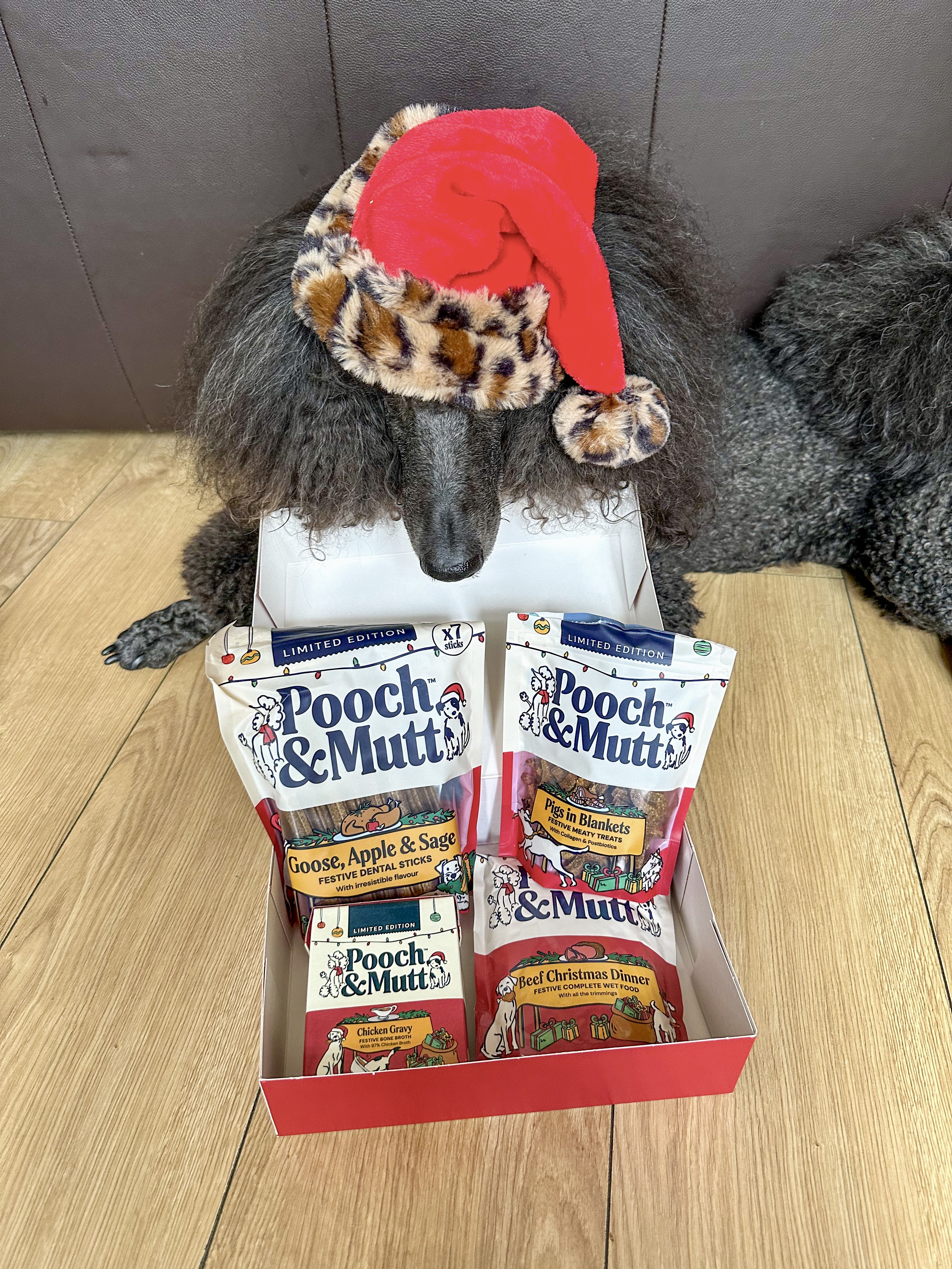 Black poodle wearing leopard print and red Santa hat with box of Pooch & Mutt Christmas dog treats on wooden floor.