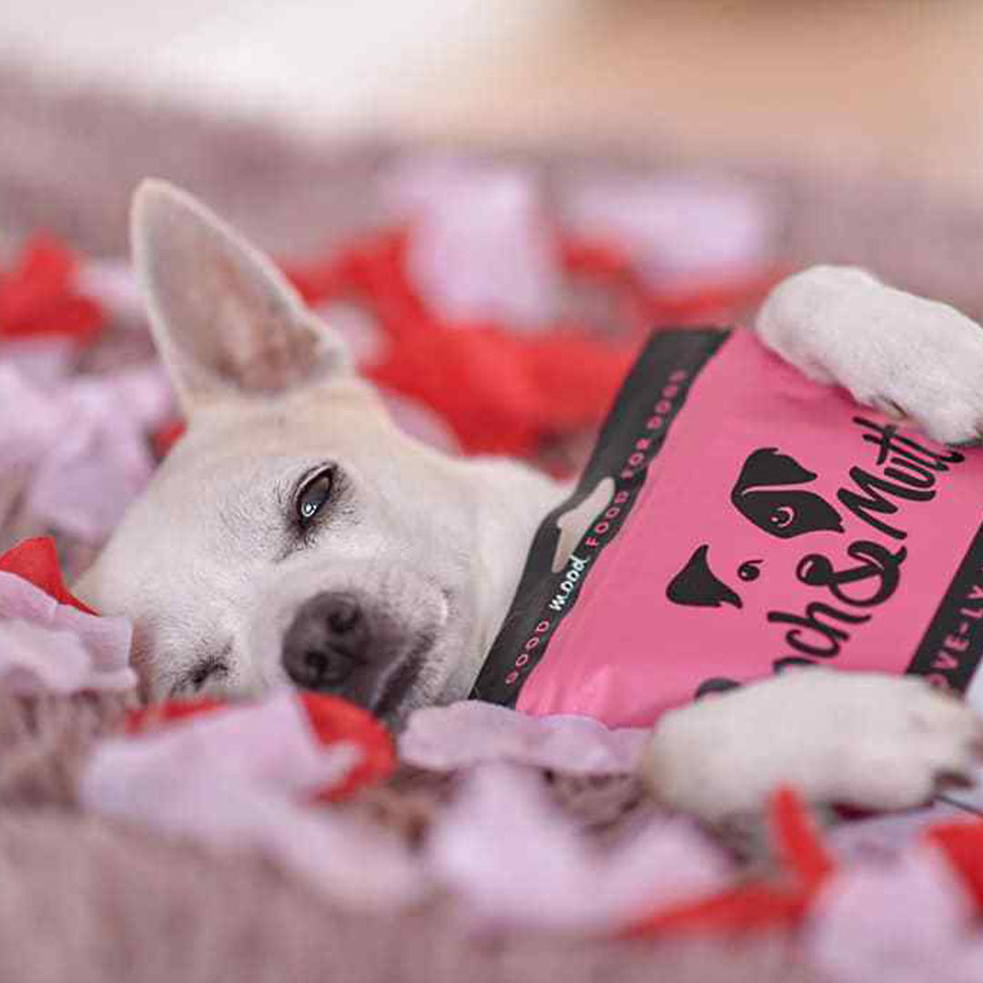 6 reasons to love our Love-ly Lamb Meaty Treats-Image 2