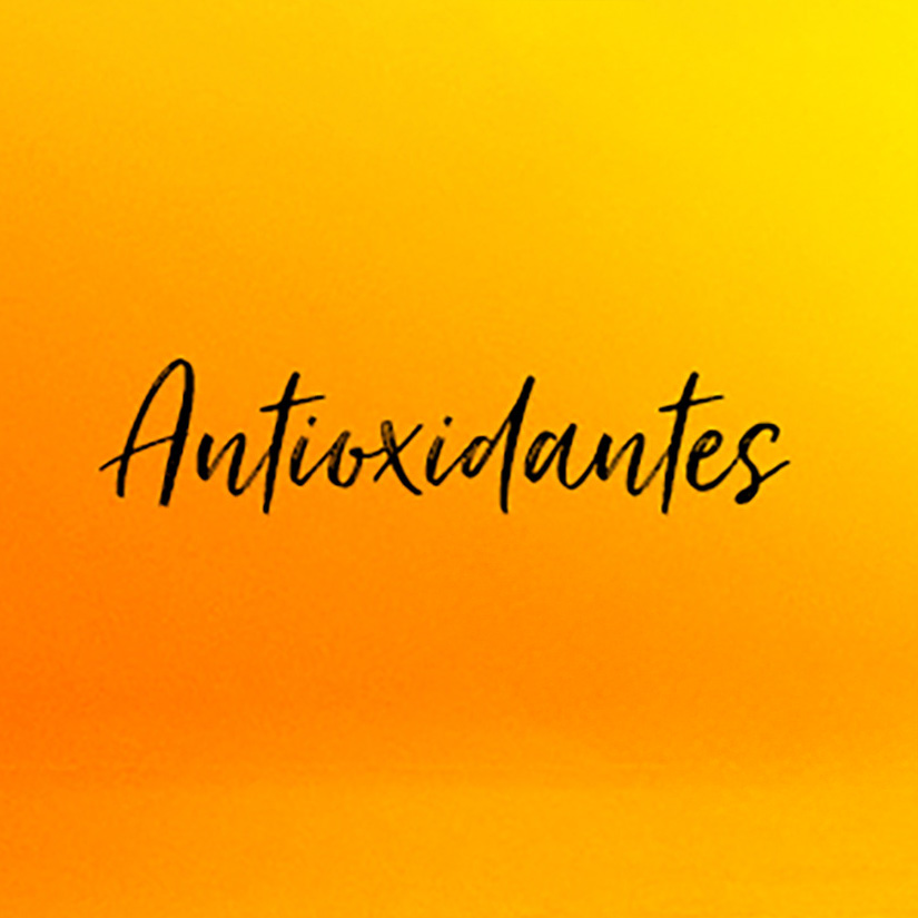 Palabra "Antioxidantes" en letra manuscrita, centrada en fondo degradado naranja y amarillo.