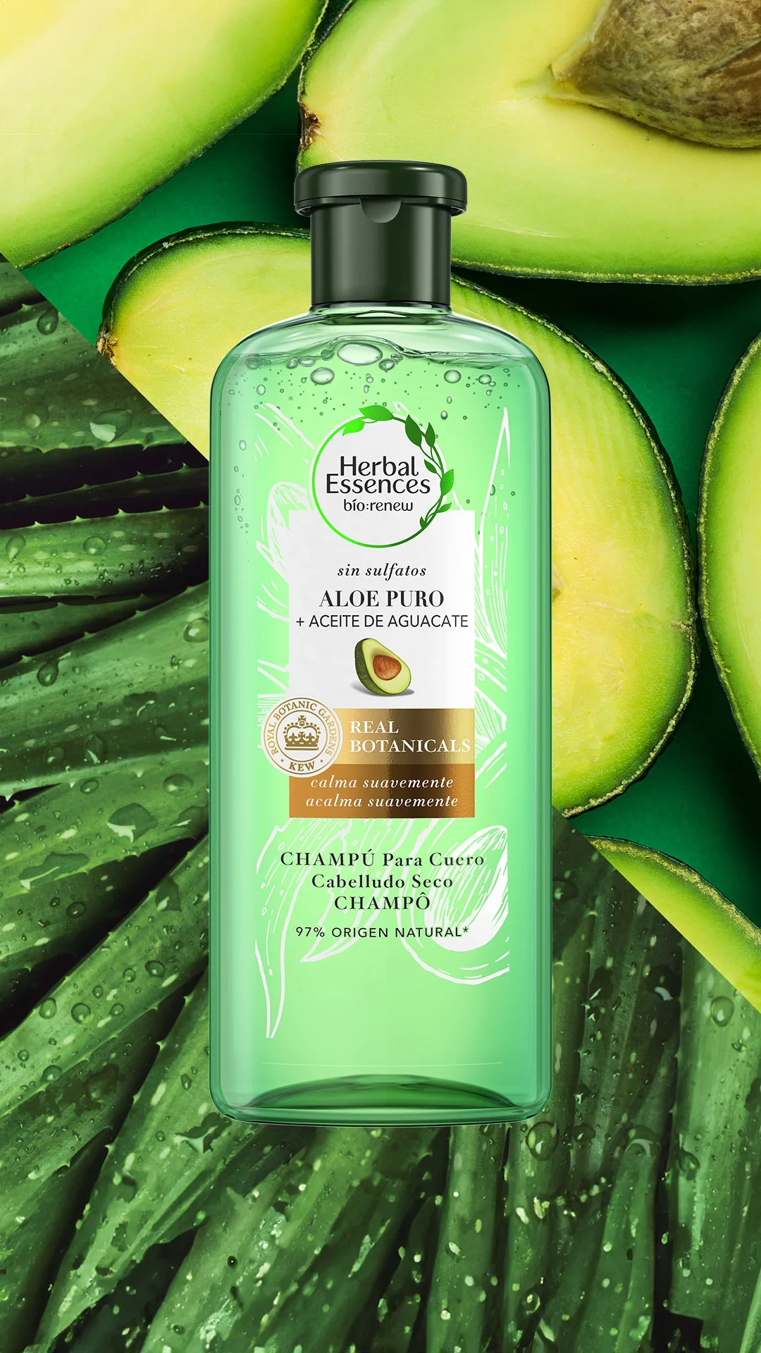 Tubo verde claro de Champú Herbal Essences Aloe Puro + Aceite De Aguacate, con hojas de aloe vera y rodajas de aguacate.