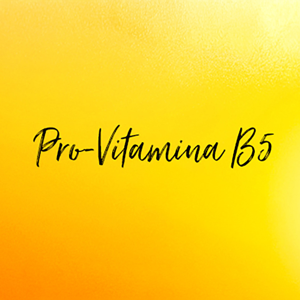La frase "Pro-Vitamina B5" escrita en elegante cursiva sobre fondo degradado de amarillo brillante a naranja.