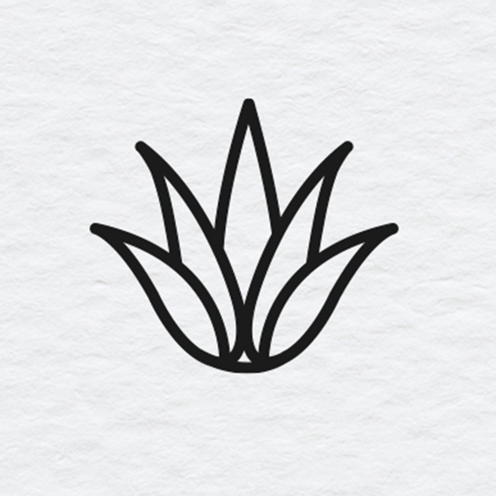 Icono de contorno negro de planta de aloe, centrado en fondo blanco texturizado.