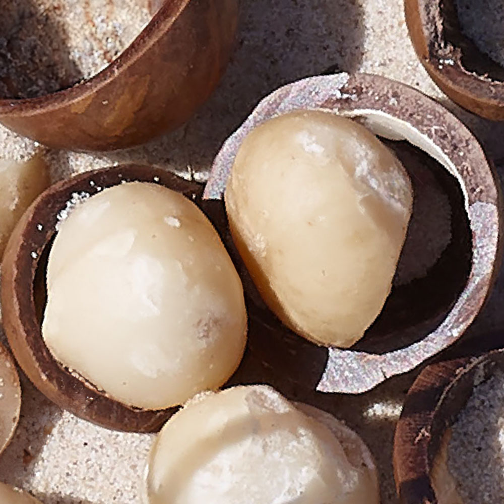 Primer plano de nueces de macadamia, algunas en cáscara rota, sobre superficie arenosa clara.