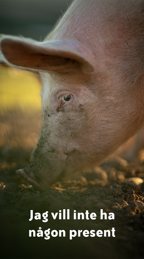 Ingen present Djurens Rätt