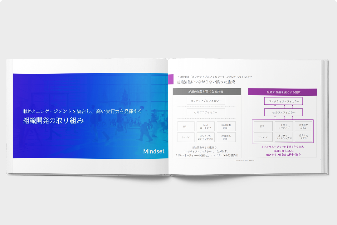 システム・シンキングトレーニングブック 持続的成長を可能にする組織変革のための… システム・シンキングトレ-ニングブック: 持続的成長を可能に