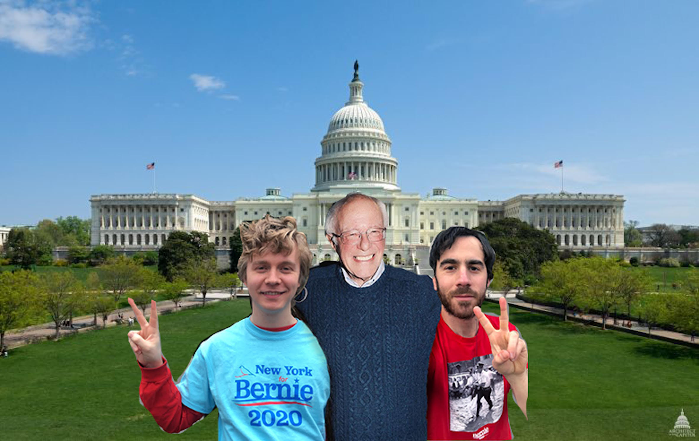 bernie-new