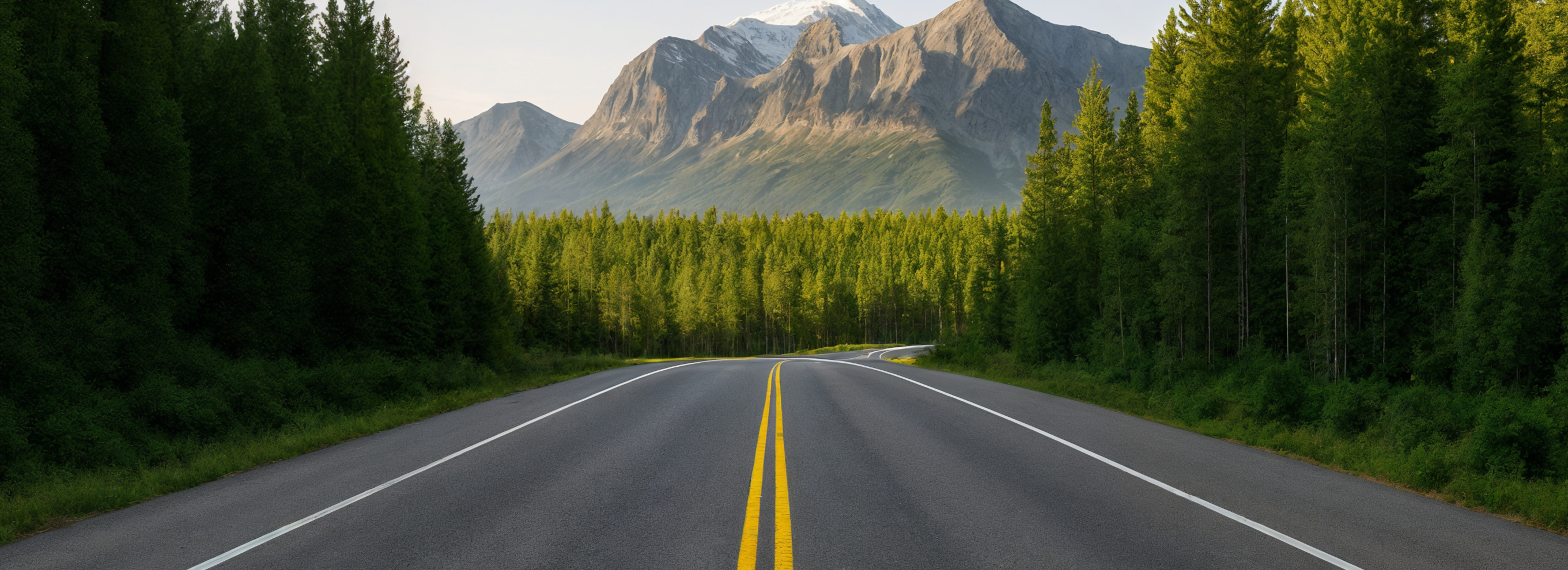 Forest road with mountains in the background