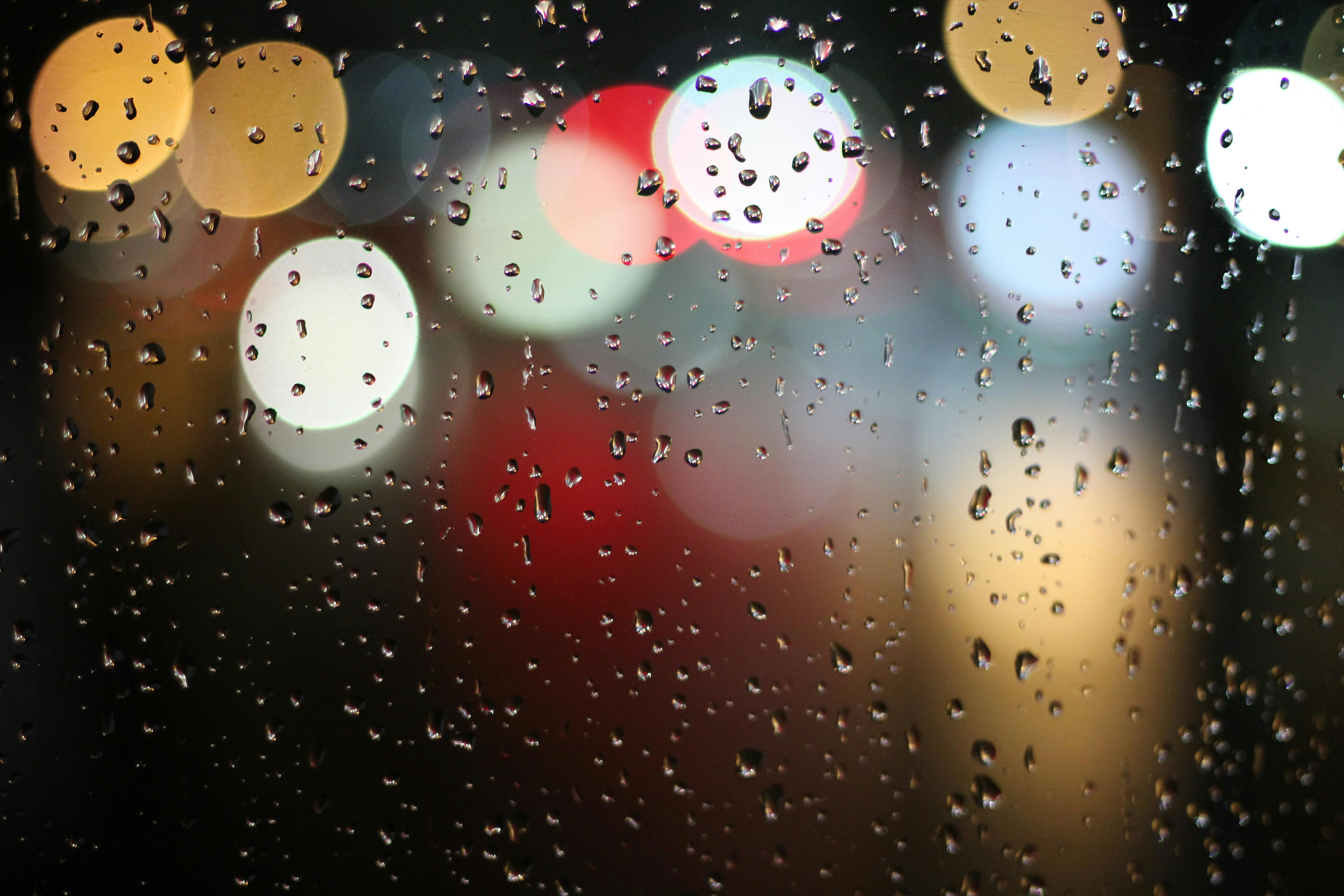 Use your words to follow poetry prompts about the little things in life