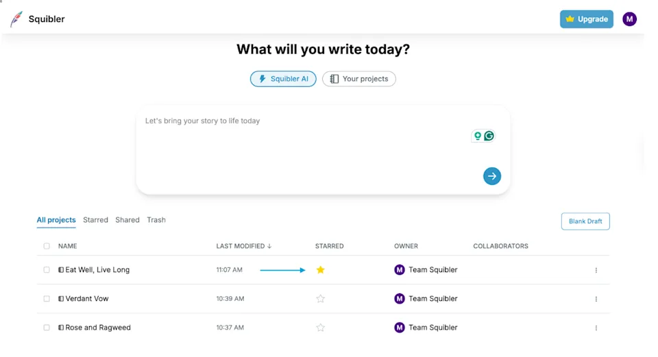 Understanding Your Dashboard - Squibler Knowledge Center