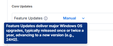 Windows Core Updates in Splashtop AEM