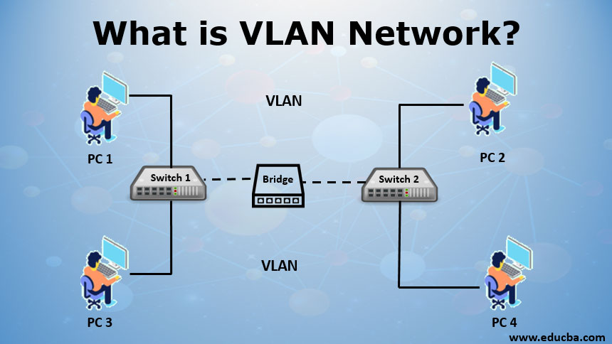 A map illustrating how VLAN connects PCs between switches and bridges
