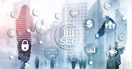 Remote Access for SEC and Government Agencies