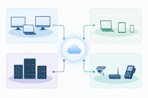 An organization's segmented network.